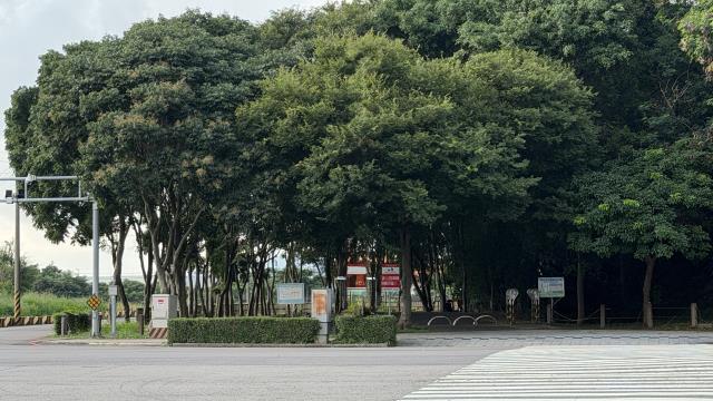 后里店面-6