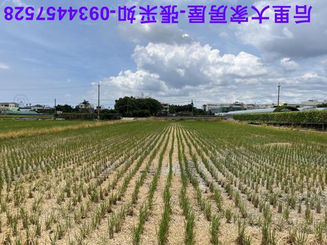 台中農地-9