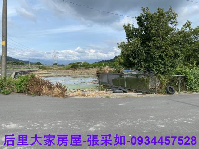 台中后里農地-2