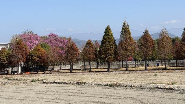 台中后里農地-3