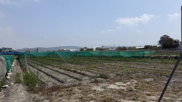 台中后里農地-4