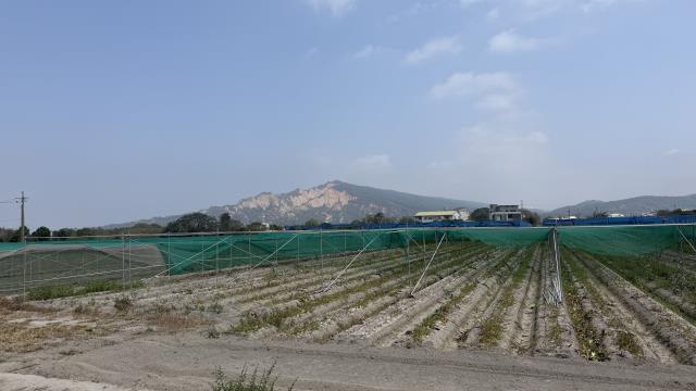 台中后里農地-6