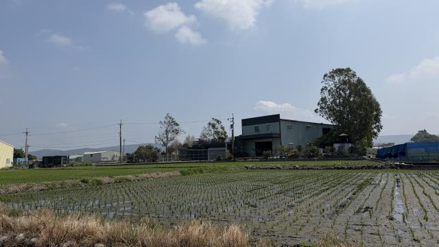 台中后里農地-9