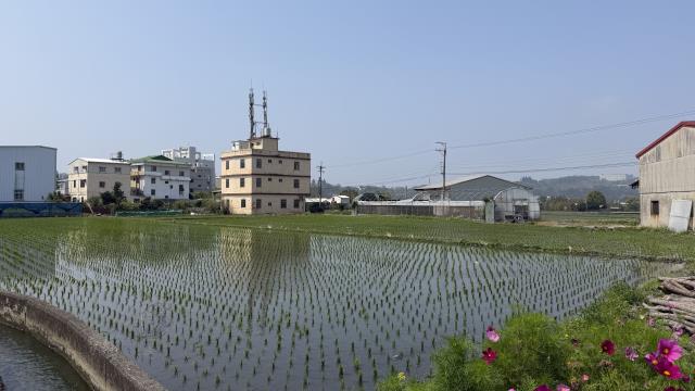 台中后里農地-5