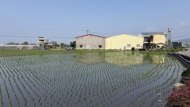 台中后里農地-7