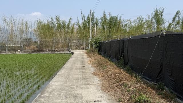 后里農地-4