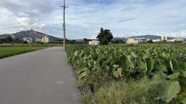 后里農地-6